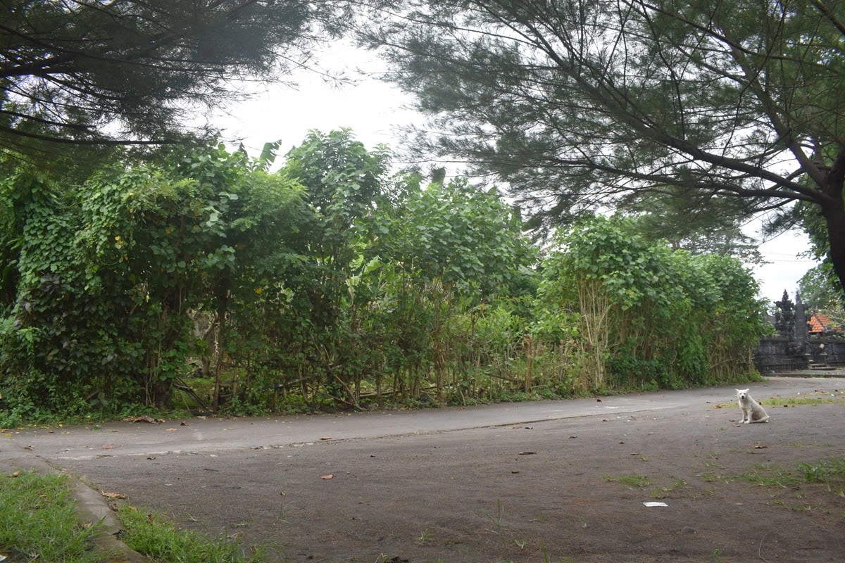 YEH GANGGA, Rare 990 m² Beachfront Land