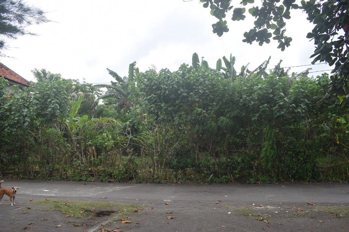 YEH GANGGA, Rare 990 m² Beachfront Land