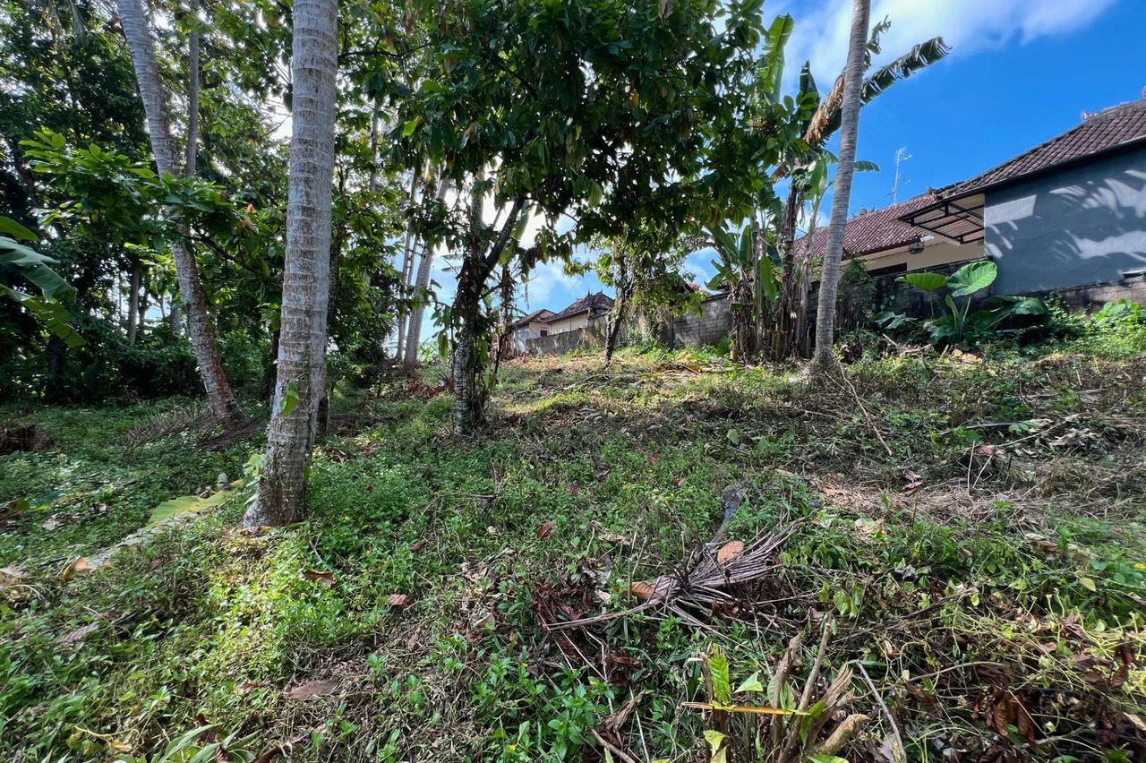 FREEHOLD - 1780 m2 Land