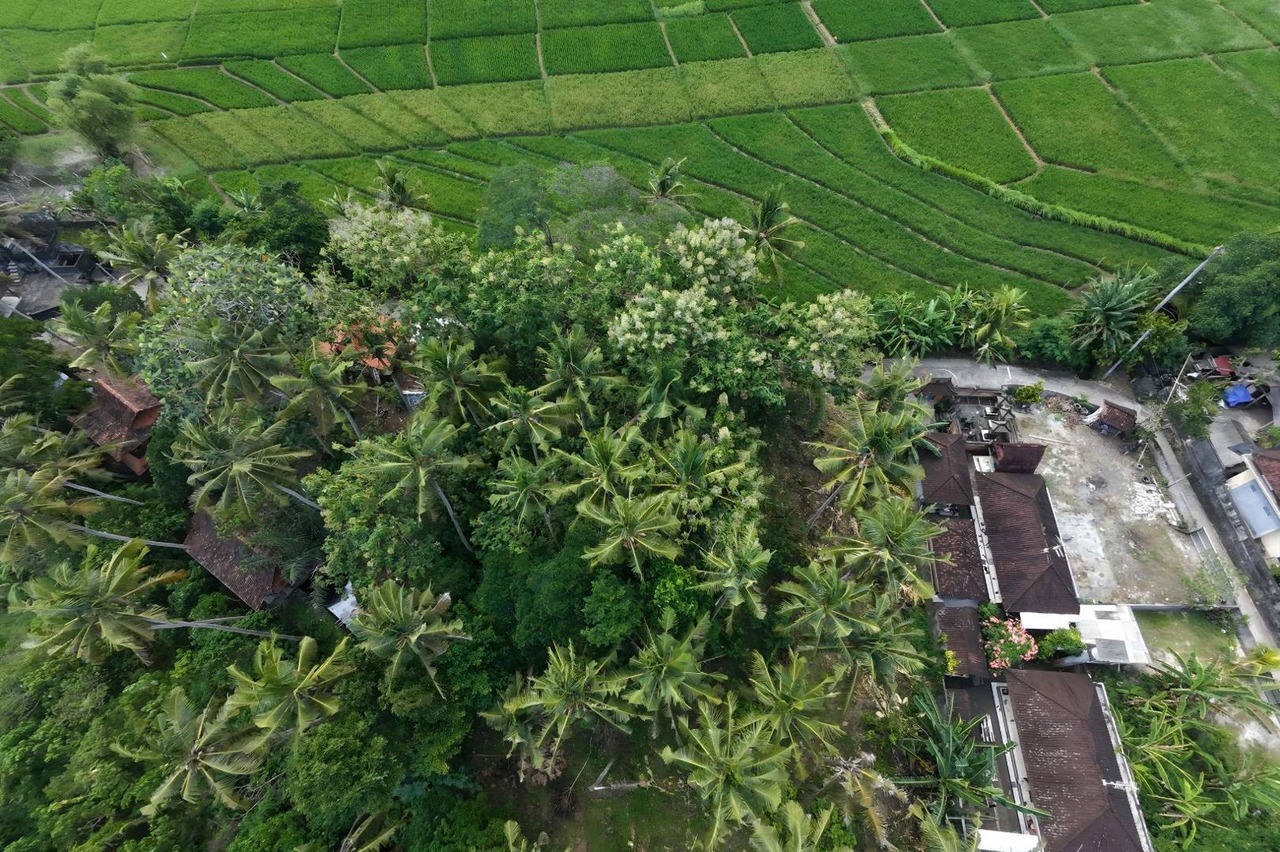 FREEHOLD - 1780 m2 Land