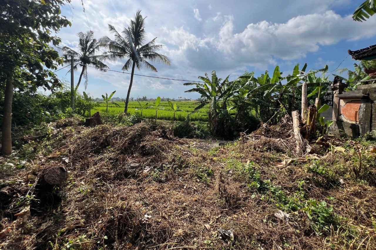 FREEHOLD - 1780 m2 Land