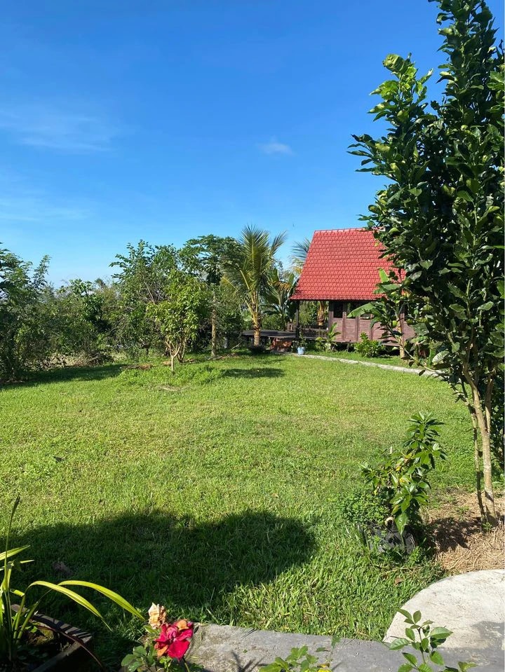 STUNNING FARM RETREAT IN PELAGA