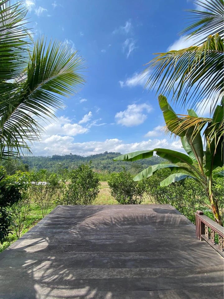 STUNNING FARM RETREAT IN PELAGA