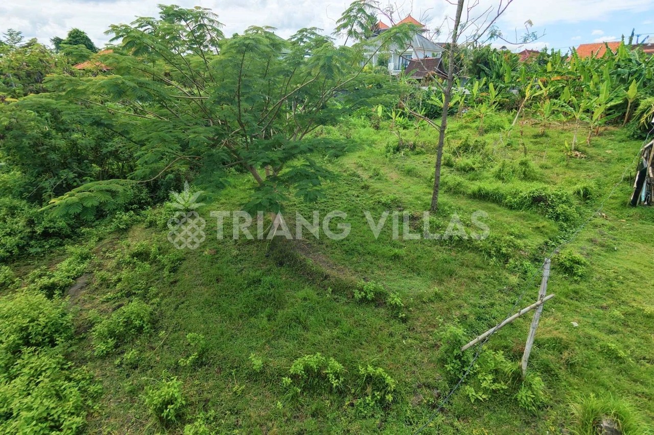 20,5-Are Splittable Land For Lease
