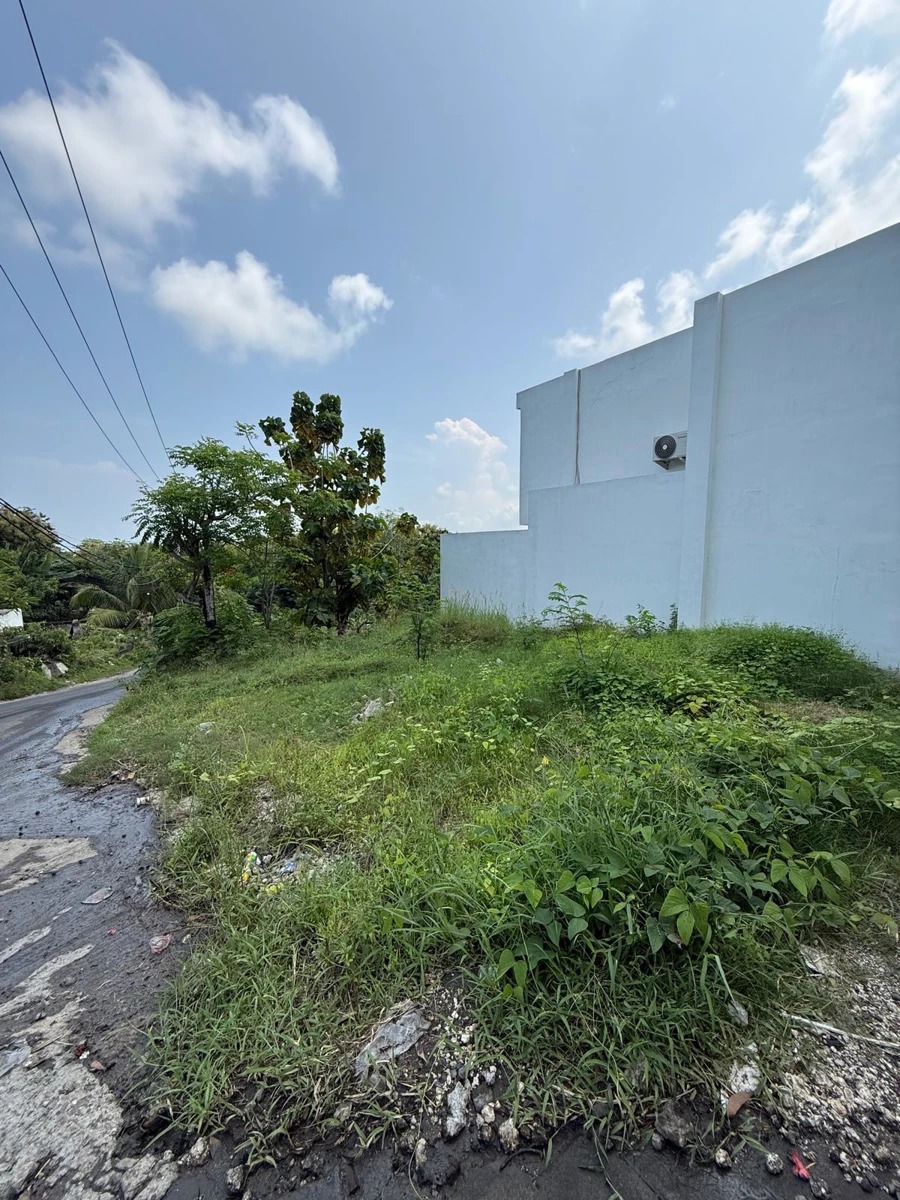 Rare Main Road Land Bingin Pink Zone