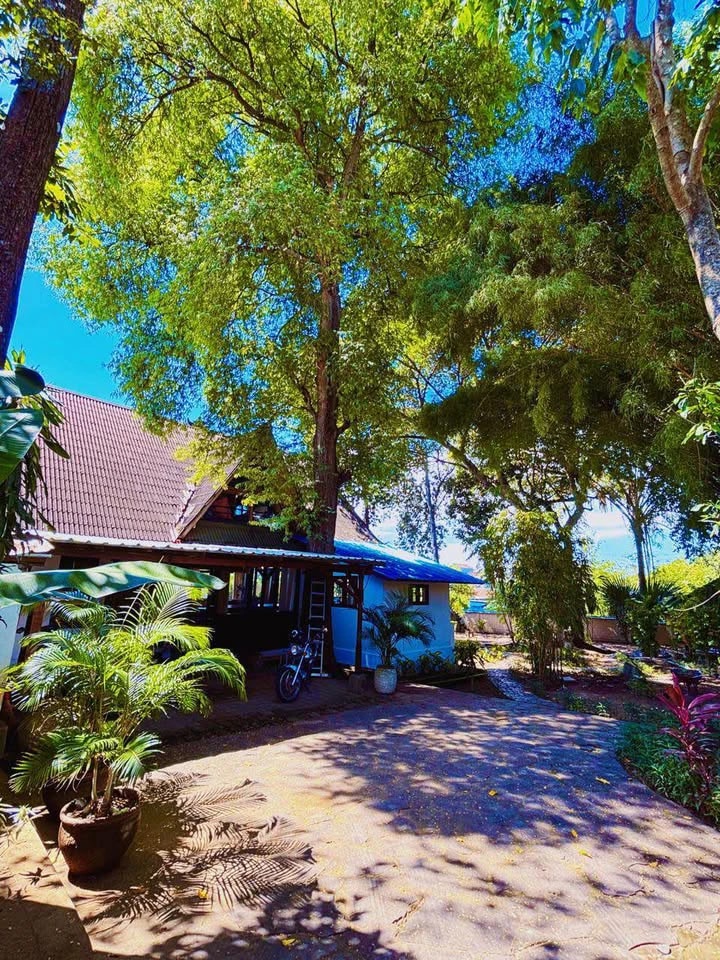 Pet friendly | Garden | Kerobokan