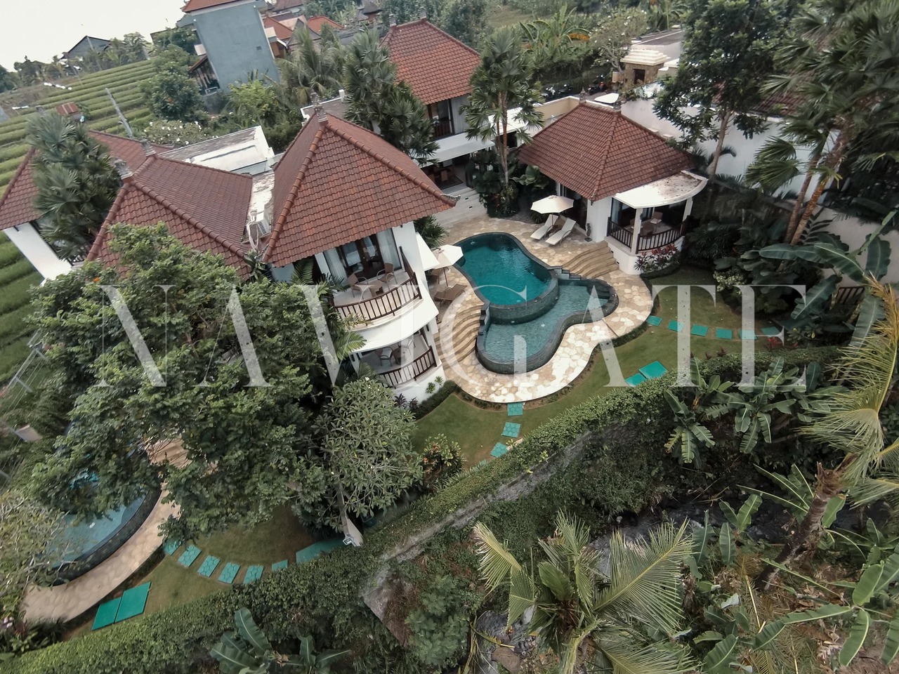 Villa Damson | 3-Br Ricefield view Buduk