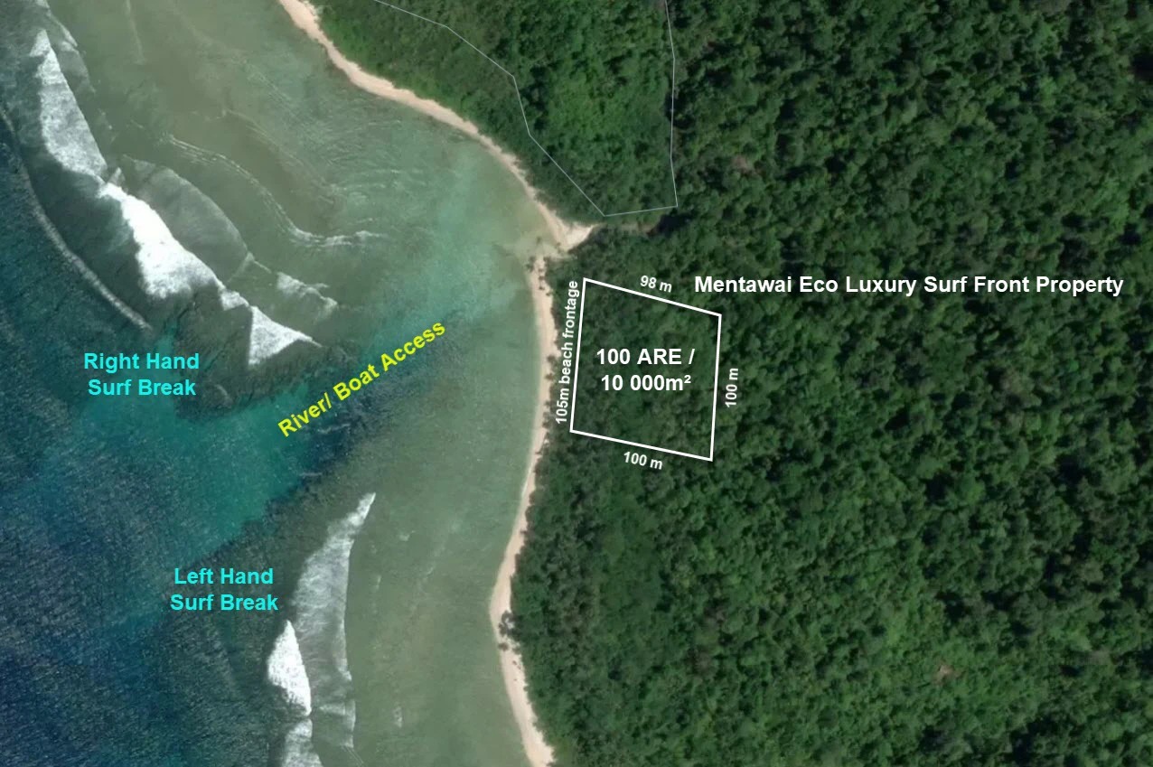 10,000m² Eco-Luxury Beachfront Plot