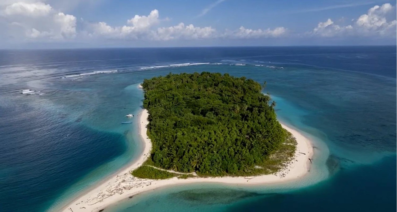 10,000m² Eco-Luxury Beachfront Plot