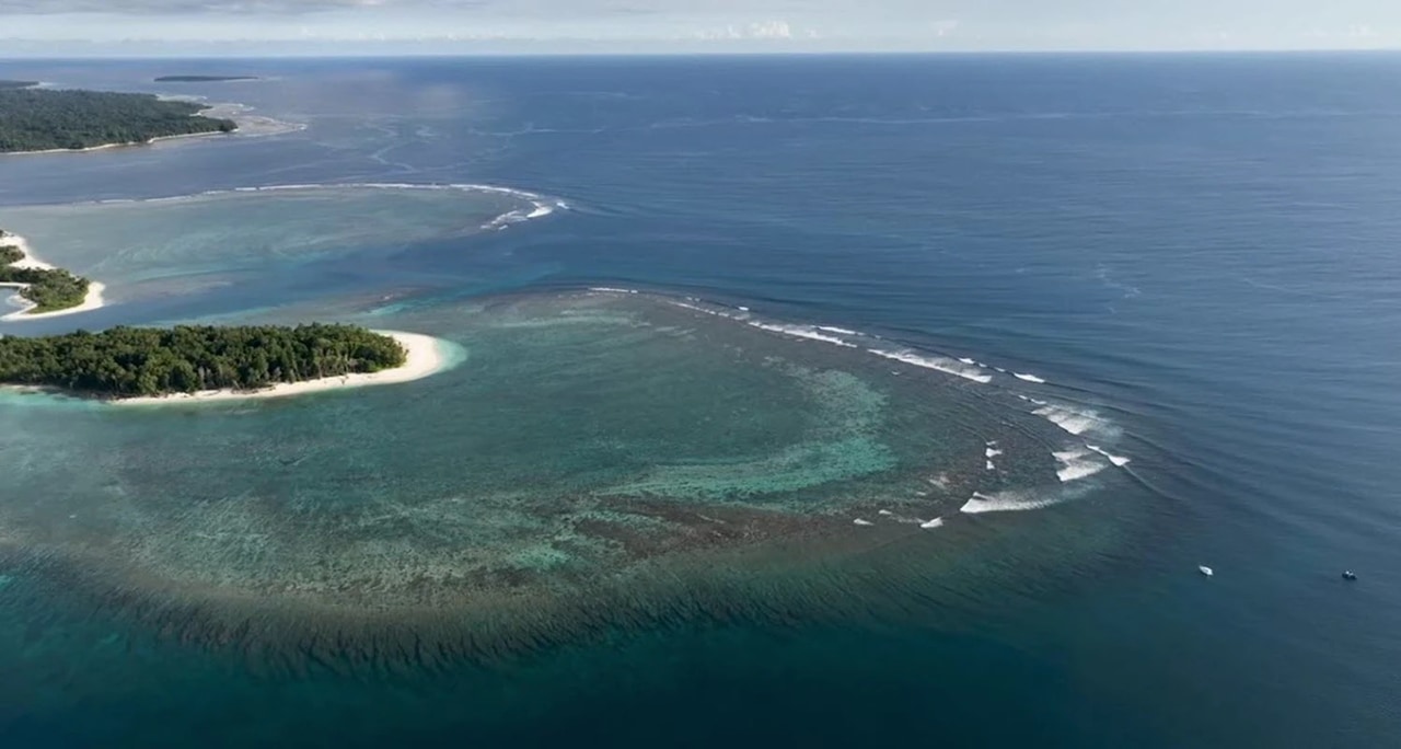 10,000m² Eco-Luxury Beachfront Plot