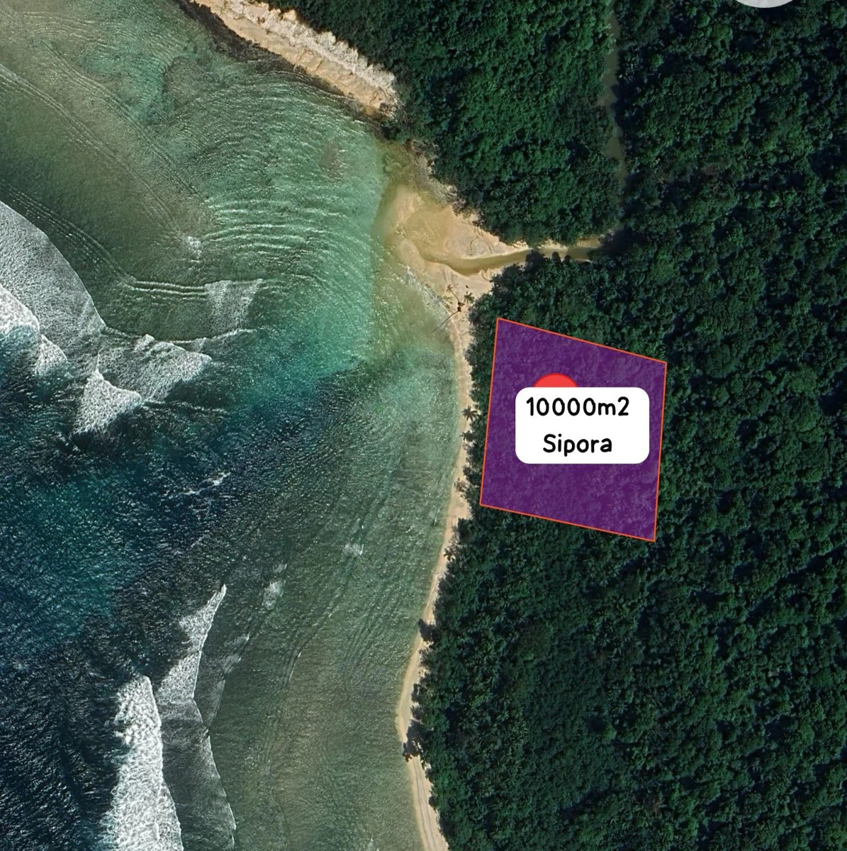 10,000m² Eco-Luxury Beachfront Plot