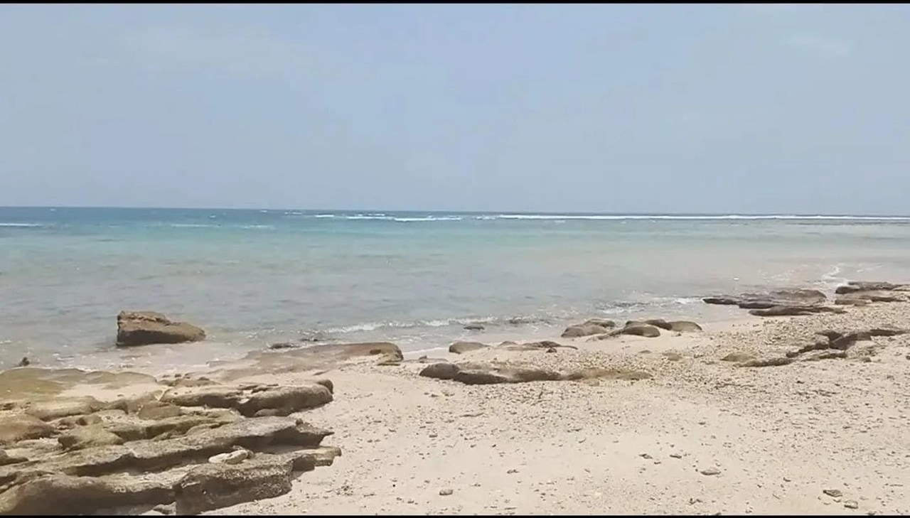 10,000m² Eco-Luxury Beachfront Plot