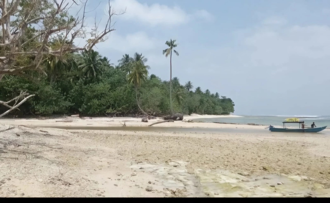 10,000m² Eco-Luxury Beachfront Plot