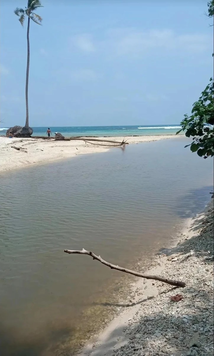 10,000m² Eco-Luxury Beachfront Plot