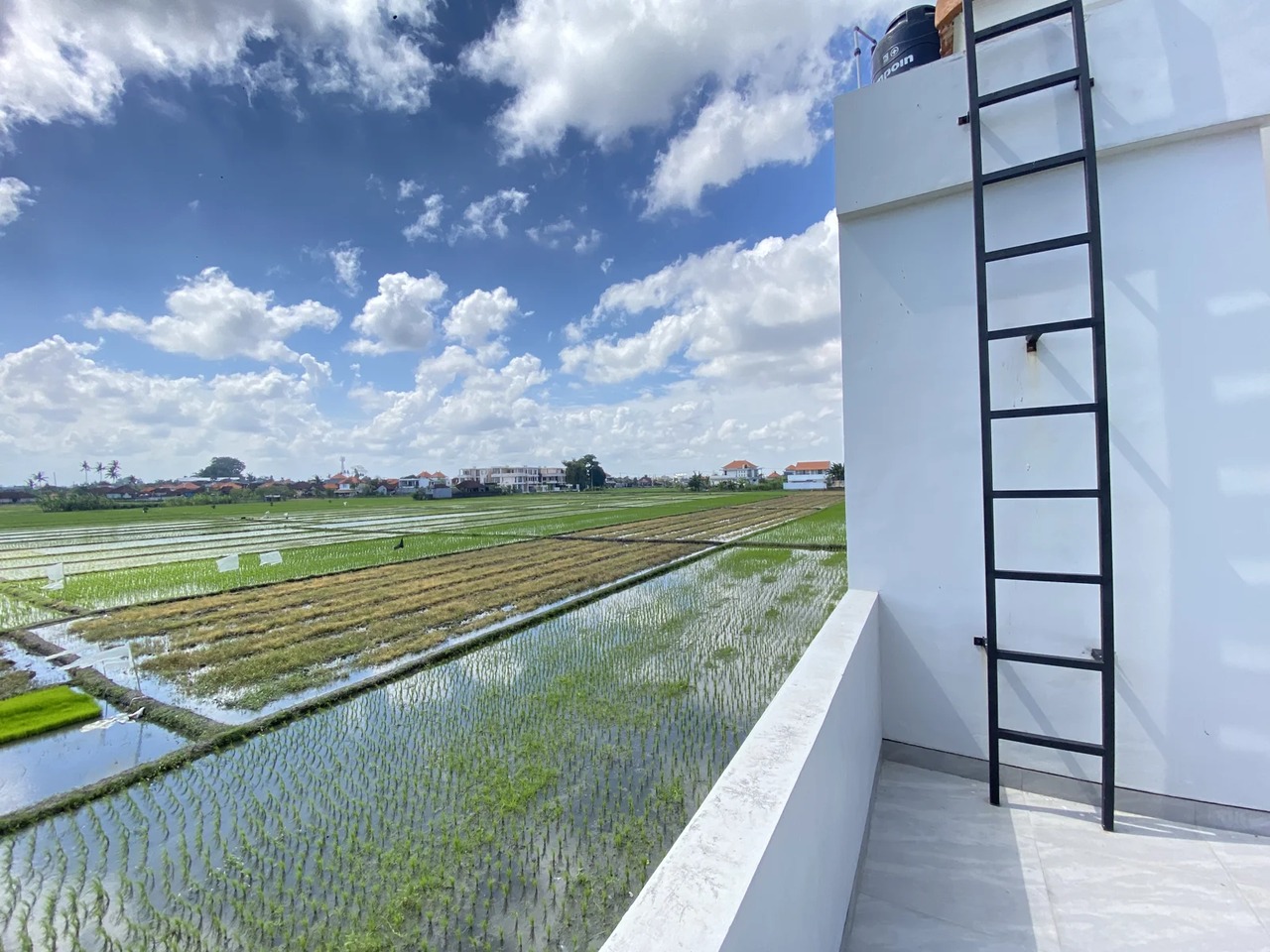 2BR Villa with huge ricefield - Cemagi