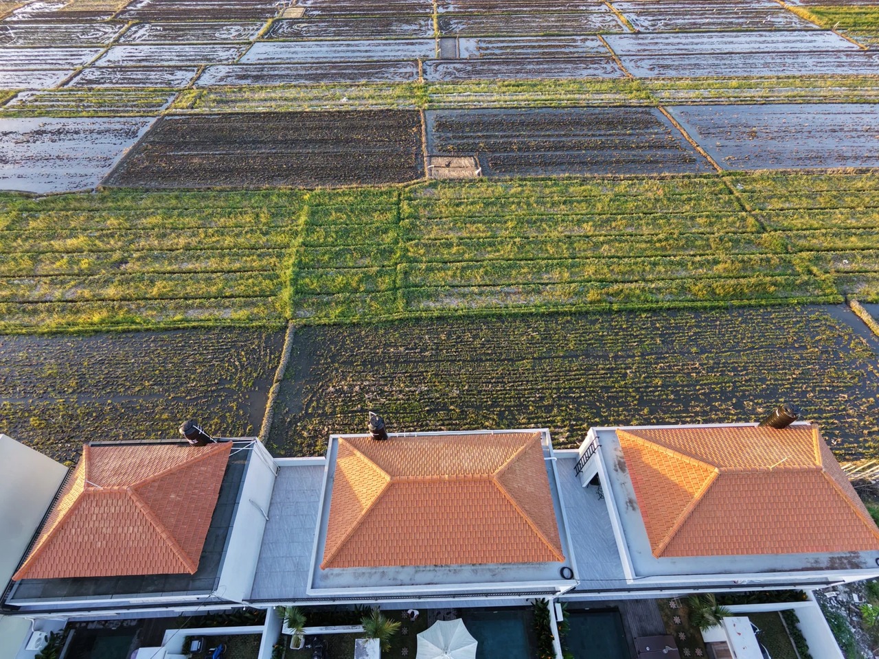 2BR Villa with huge ricefield - Cemagi