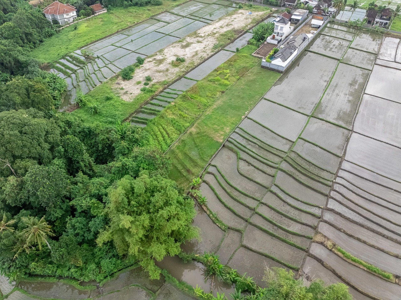 Land For Lease Near Kedungu Beach