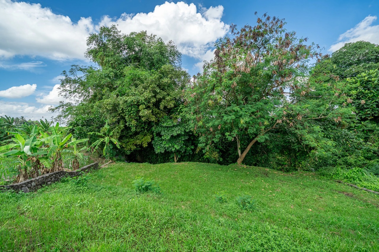 Land For Lease Near Kedungu Beach
