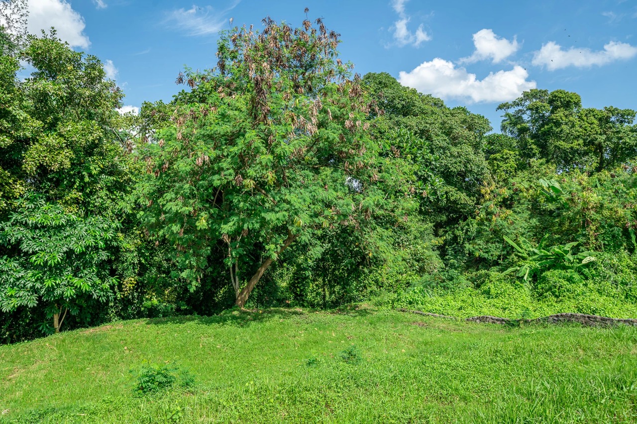 Land For Lease Near Kedungu Beach