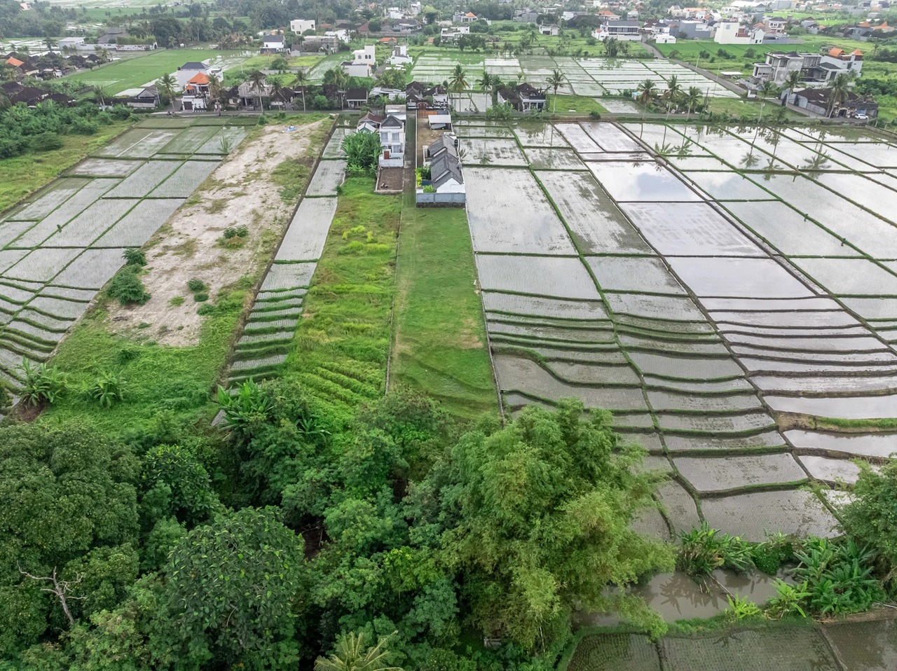 Land For Lease Near Kedungu Beach