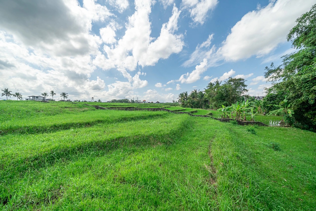 Land For Lease Near Kedungu Beach