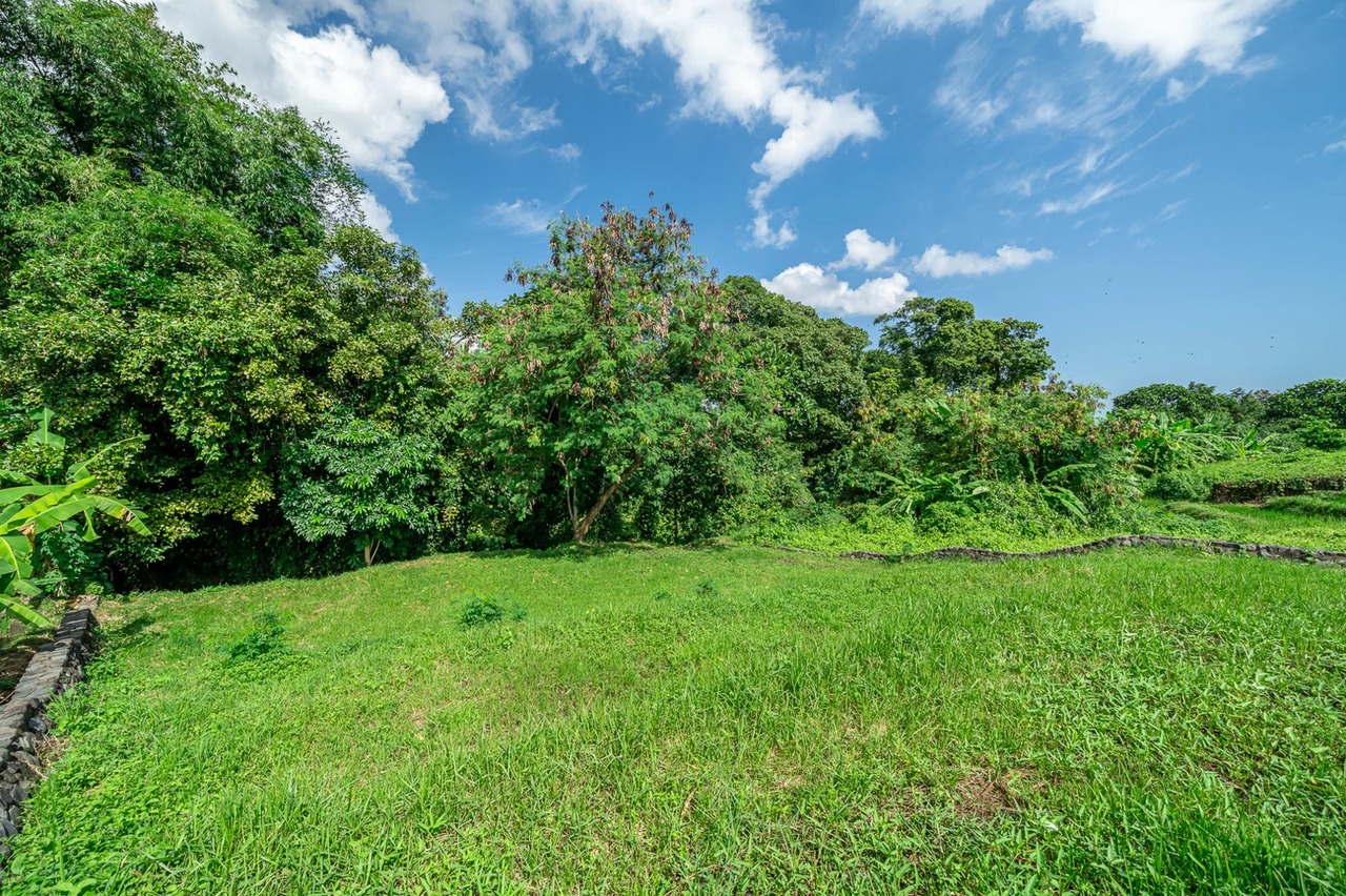 Land For Lease Near Kedungu Beach
