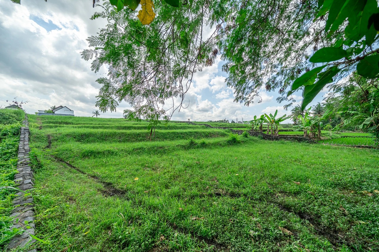 Land For Lease Near Kedungu Beach