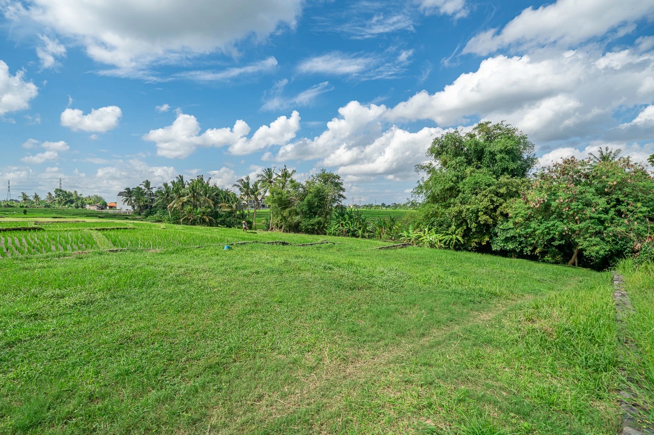 Land For Lease Near Kedungu Beach