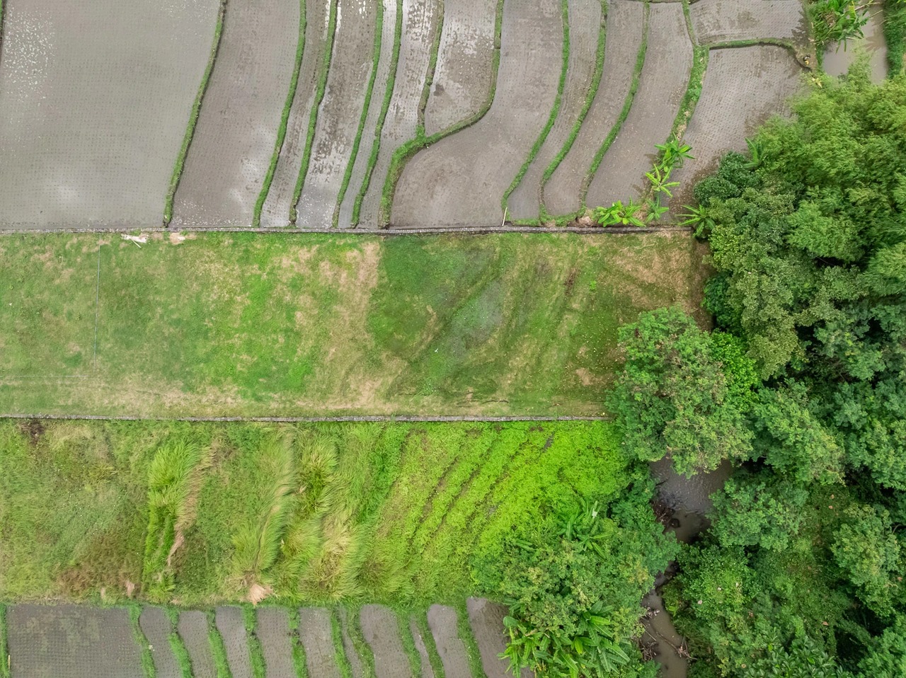 Land For Lease Near Kedungu Beach