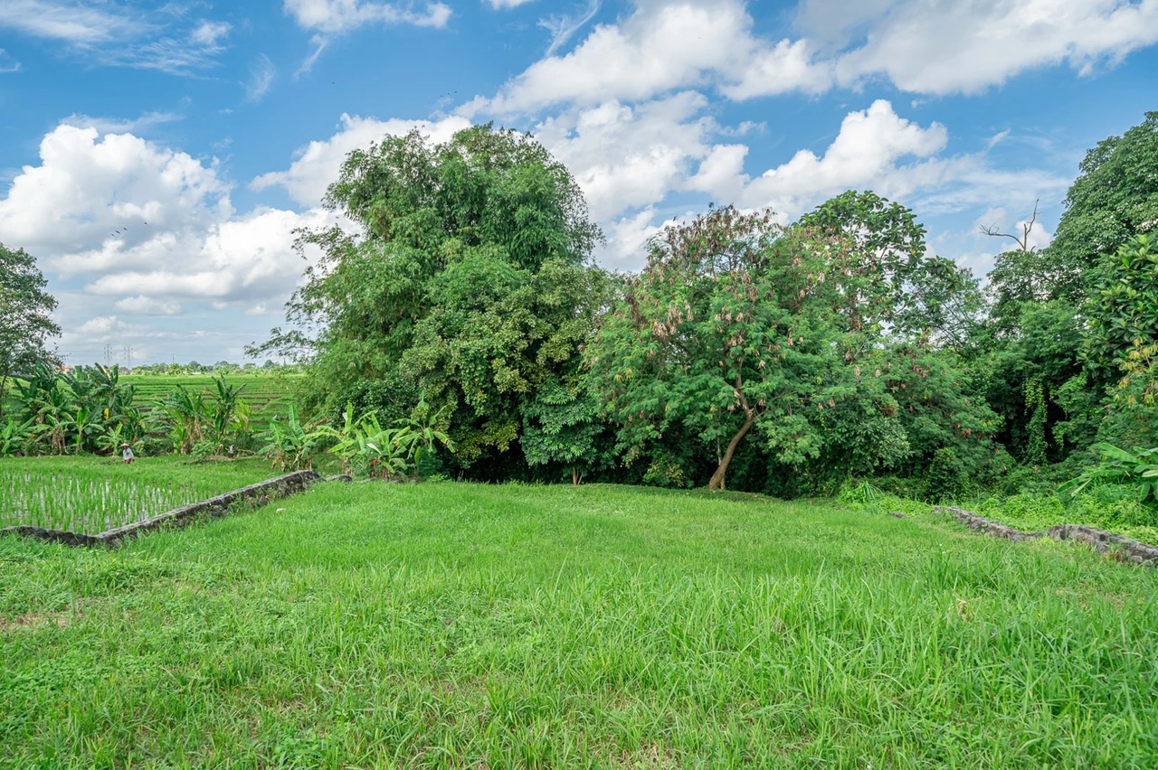 Land For Lease Near Kedungu Beach
