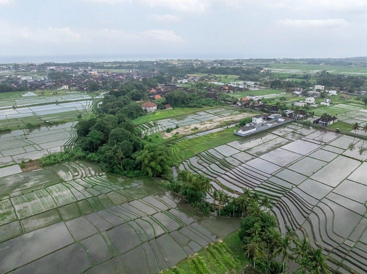 Land For Lease Near Kedungu Beach