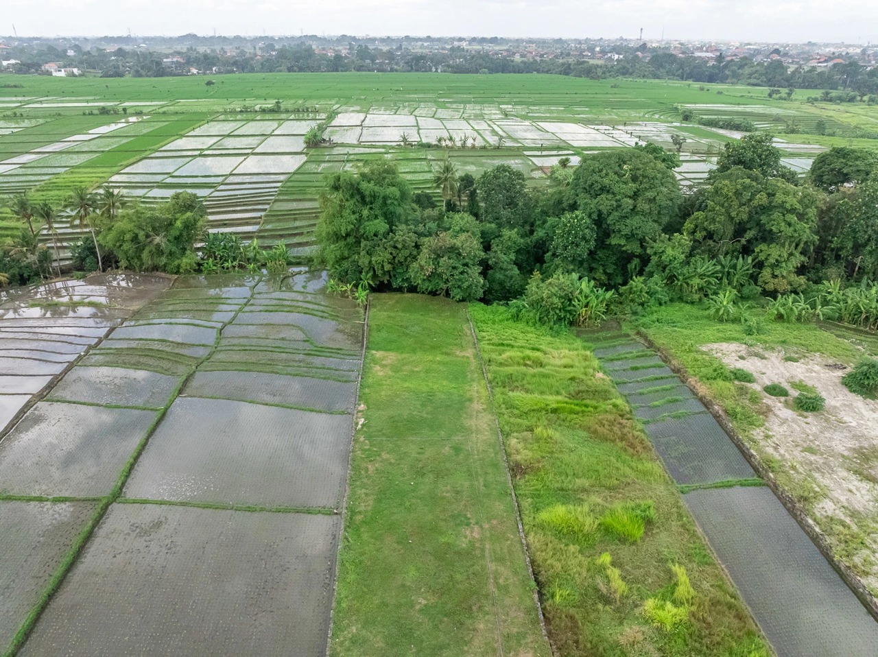 Land For Lease Near Kedungu Beach