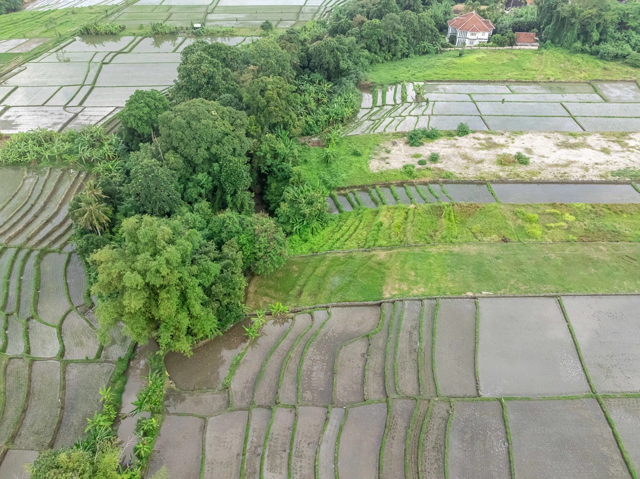 Land For Lease Near Kedungu Beach