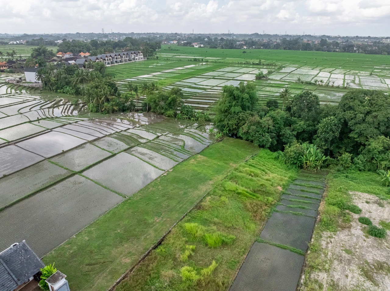 Land For Lease Near Kedungu Beach