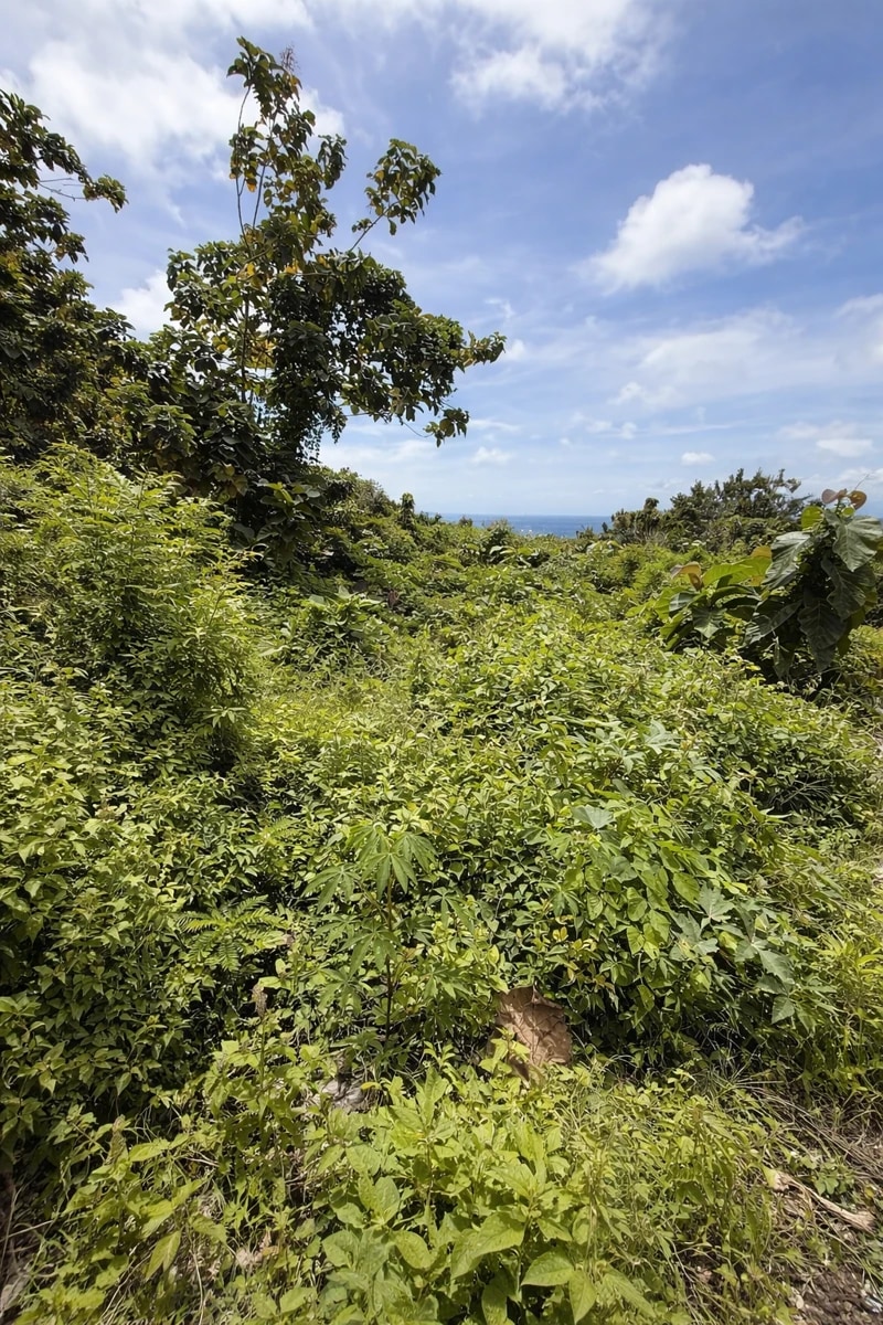 Land for Lease – Balangan (Pink Zone)