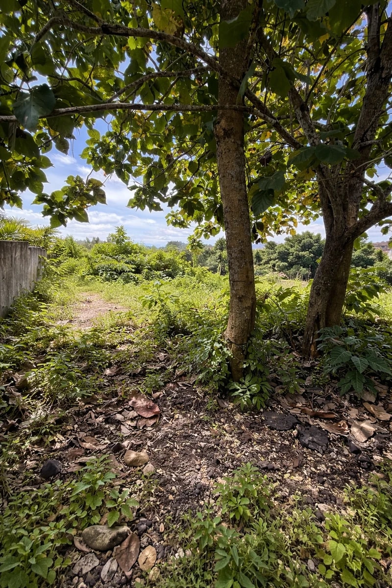 Land for Lease – Balangan (Pink Zone)