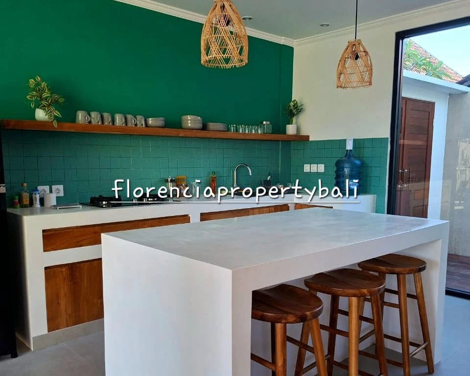 Ubud Villa | Brand New | 2 Bedrooms