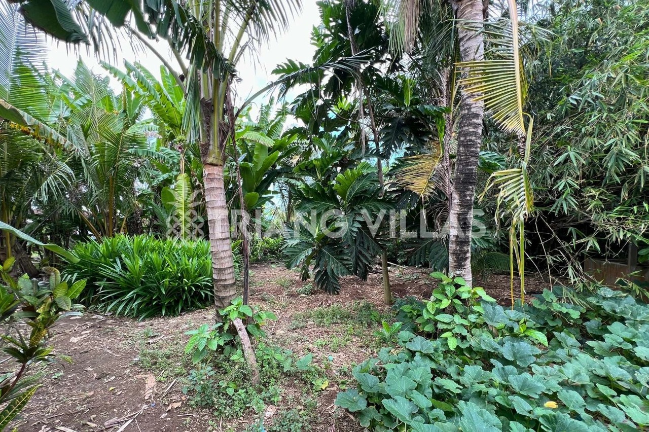 3.3-Are & 4-Are Land in Pangkung Tibah