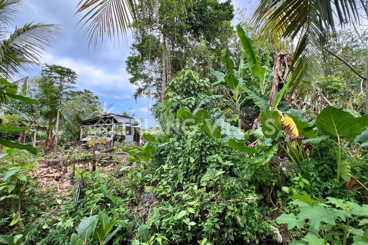 3.3-Are & 4-Are Land in Pangkung Tibah