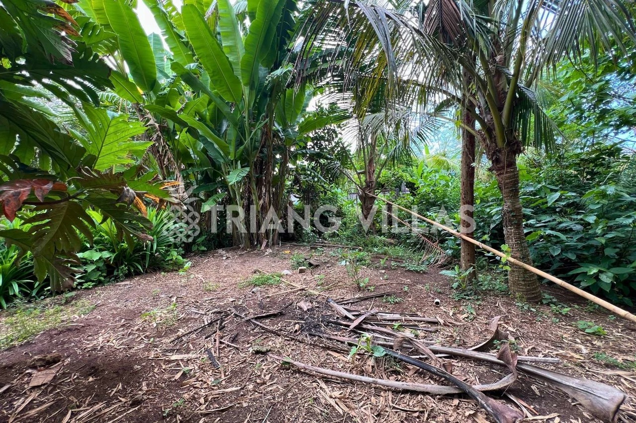 3.3-Are & 4-Are Land in Pangkung Tibah