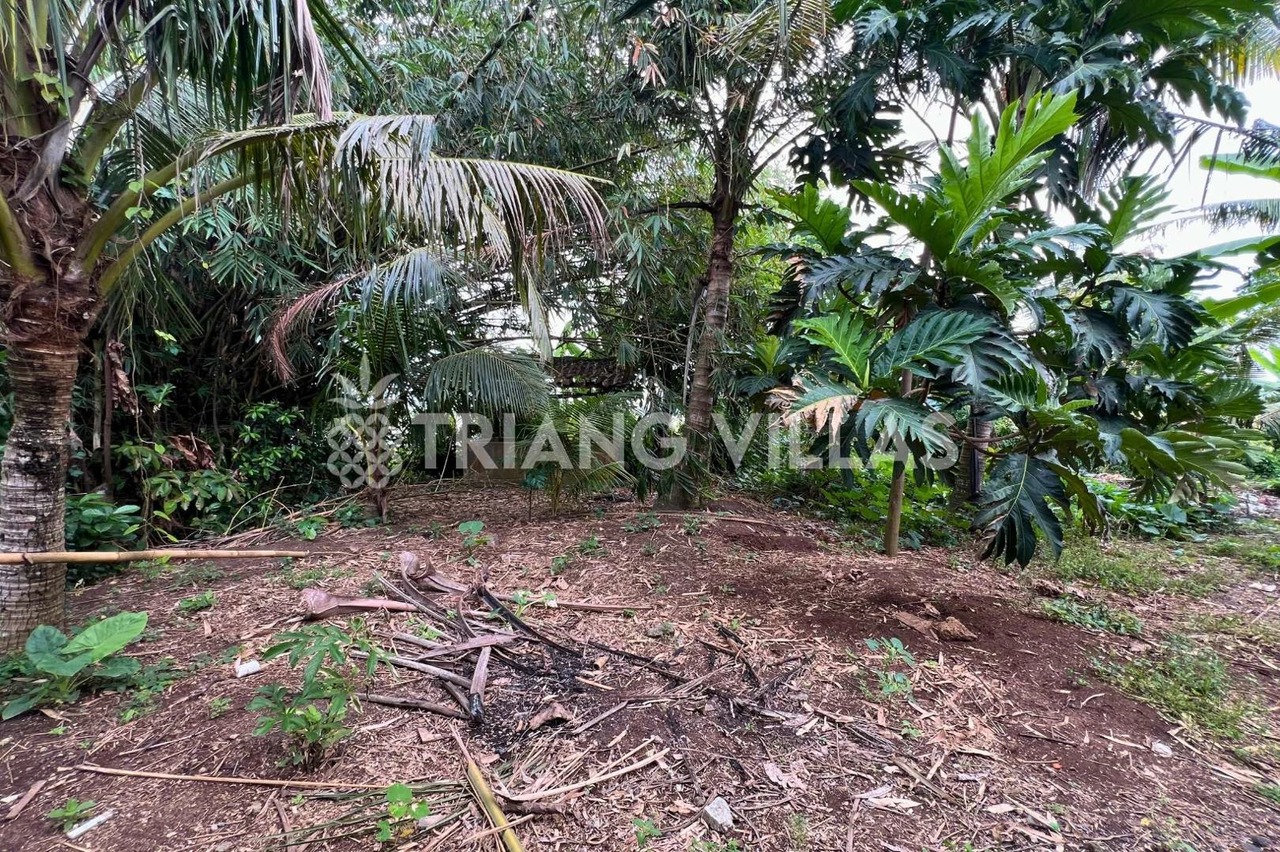 3.3-Are & 4-Are Land in Pangkung Tibah
