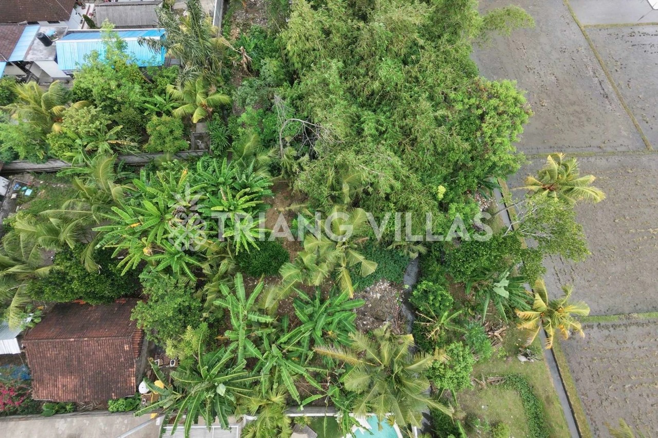 3.3-Are & 4-Are Land in Pangkung Tibah