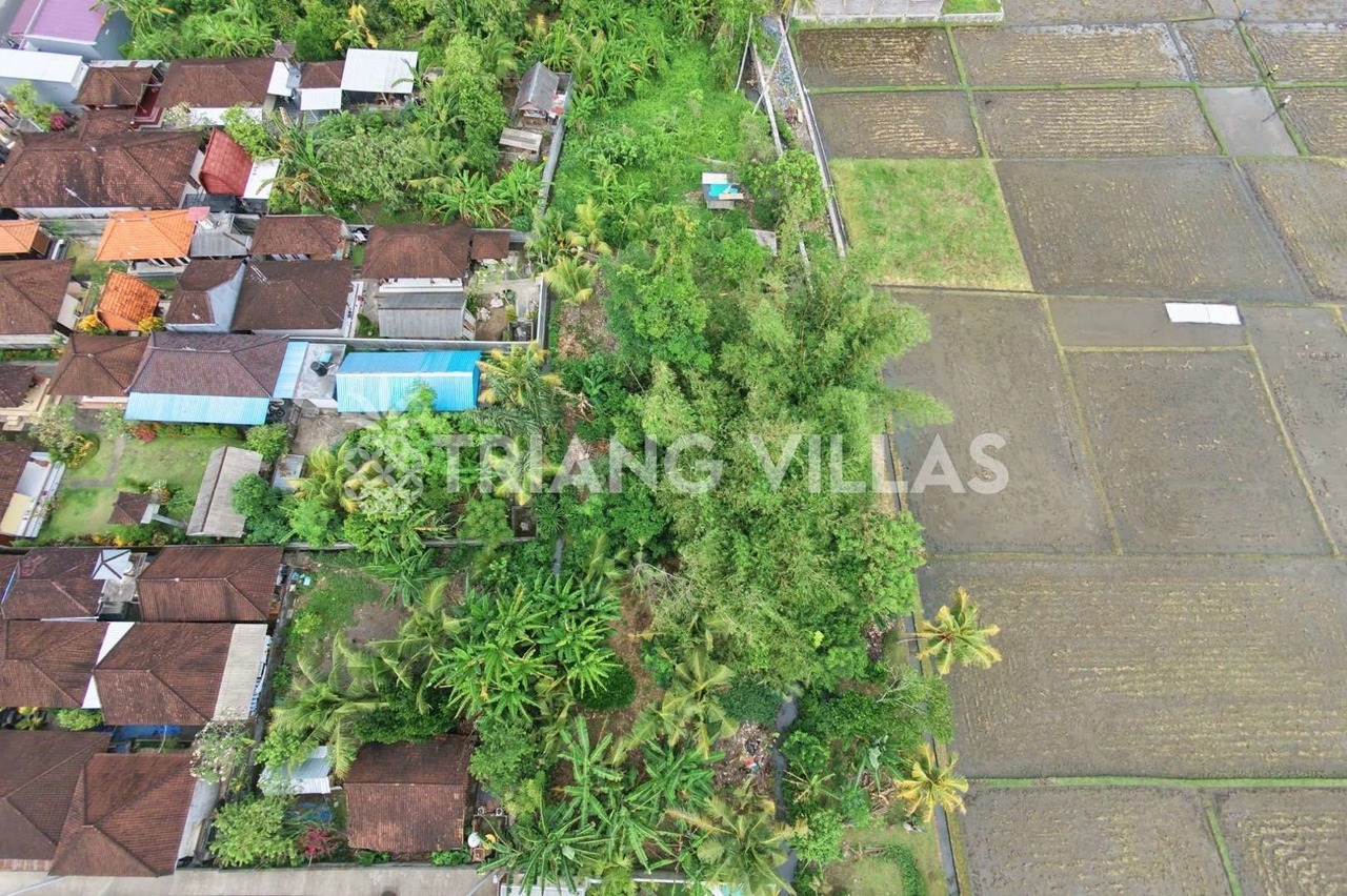 3.3-Are & 4-Are Land in Pangkung Tibah