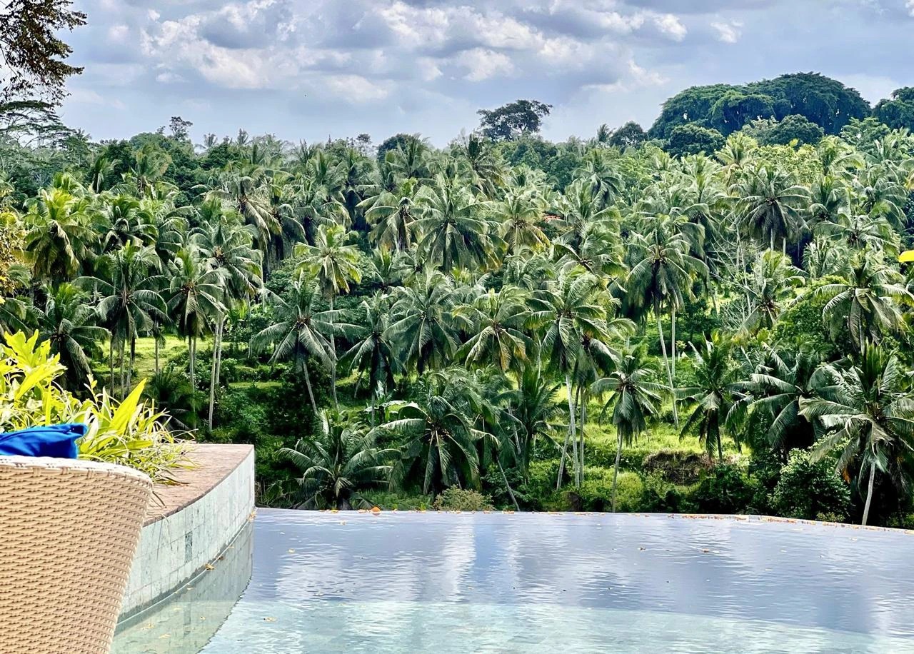Stylish 1BR Jungle Retreat w/ River View