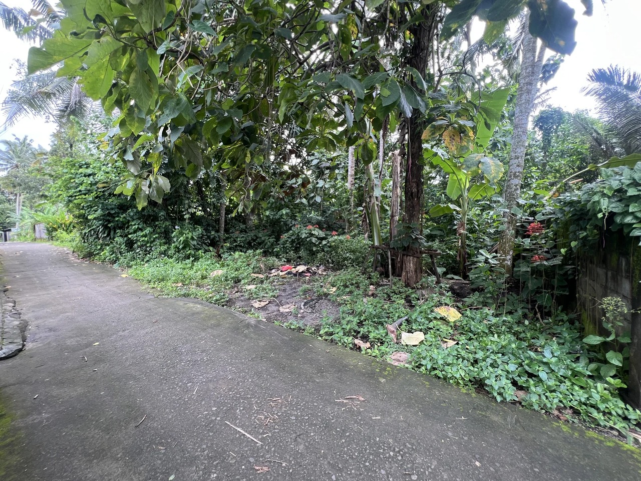 LEASEHOLD – 730 SQM Prime Land in Kaba-K
