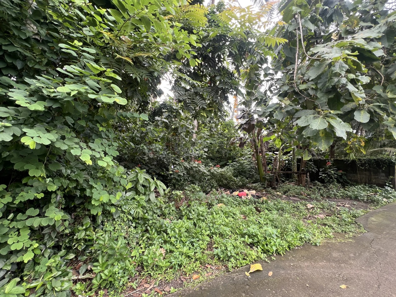 LEASEHOLD – 730 SQM Prime Land in Kaba-K