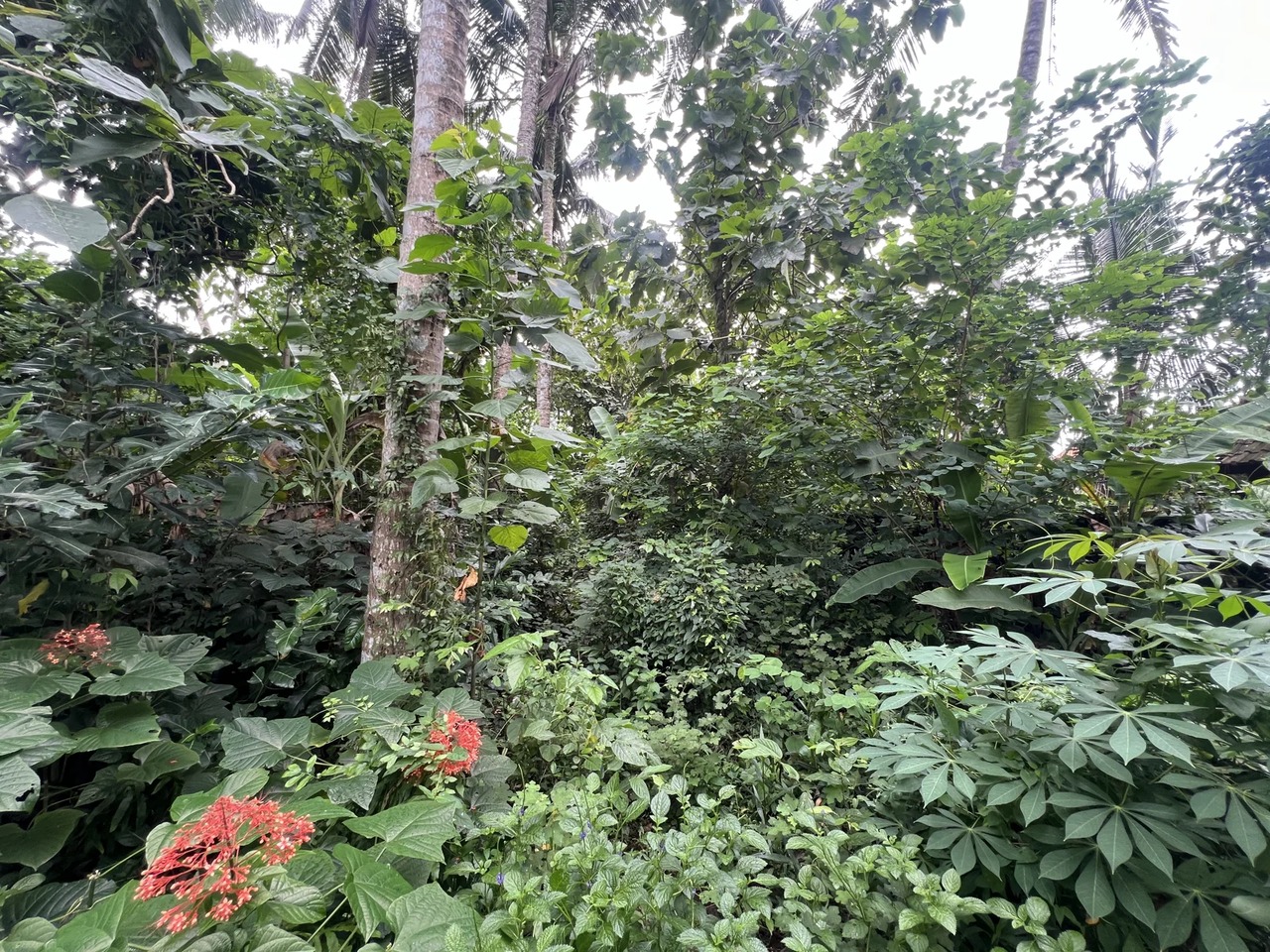 LEASEHOLD – 730 SQM Prime Land in Kaba-K