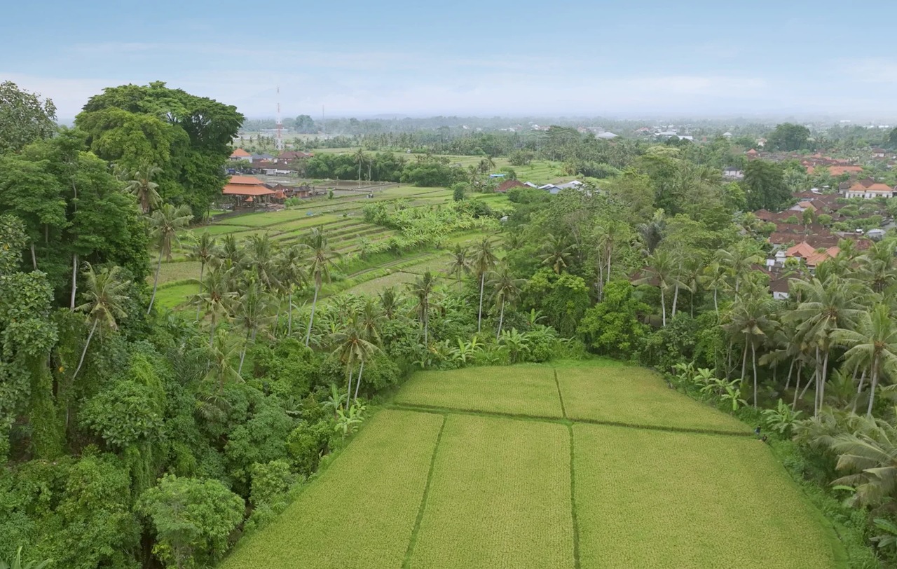 Brand New 2BR Garden Villa w/ Private Po