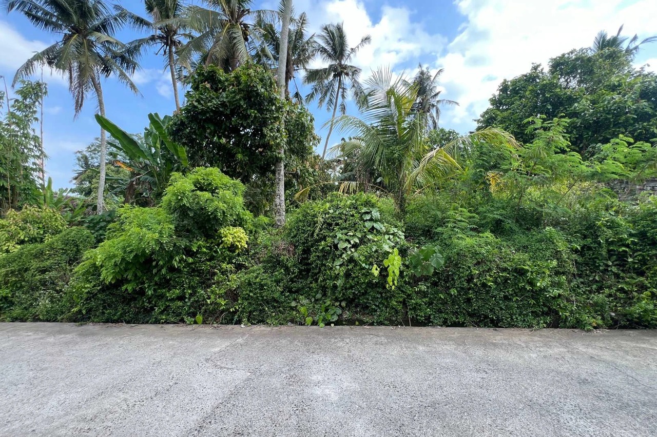 Leasehold Land in Sudimara Tabanan