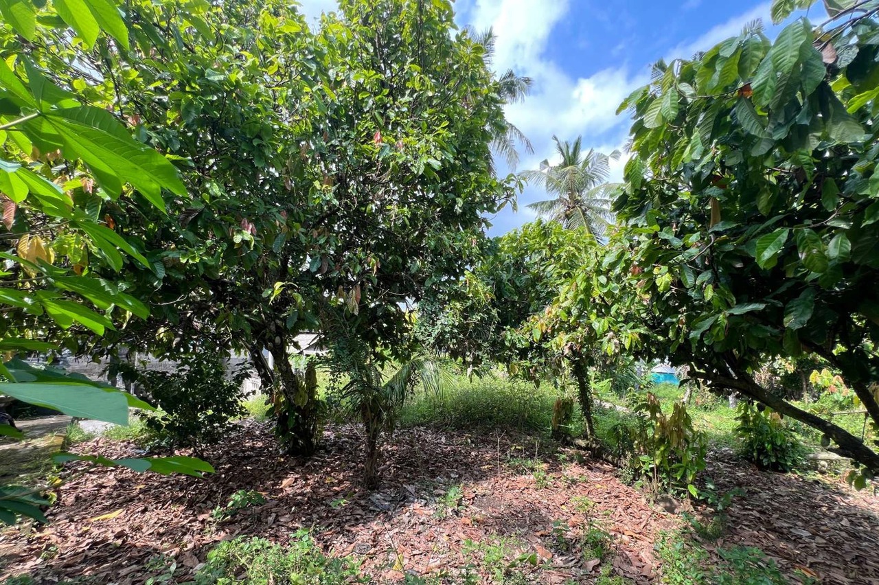 Leasehold Land in Sudimara Tabanan